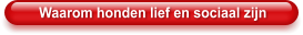 Waarom honden lief en sociaal zijn