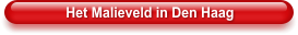 Het Malieveld in Den Haag